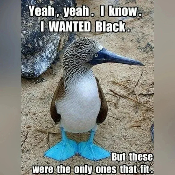 FREE 🆕Swimsuit Hipster Bottoms - Picture 11 of 15